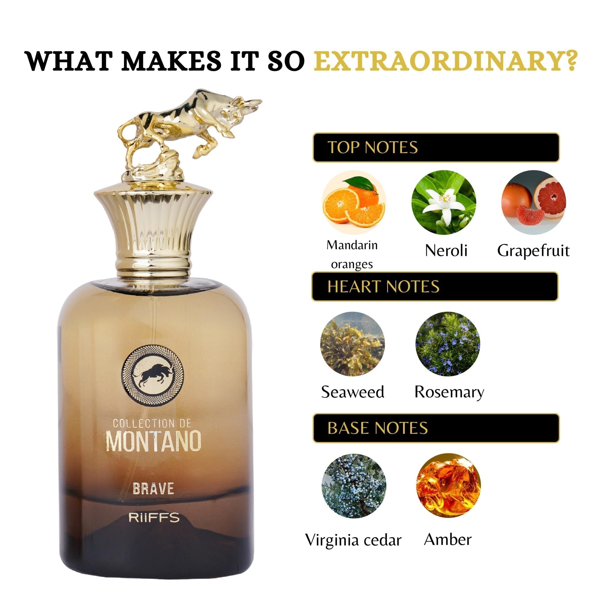 MONTANO BRAVE