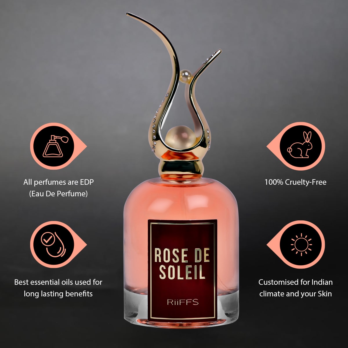 ROSE DE SOLEIL