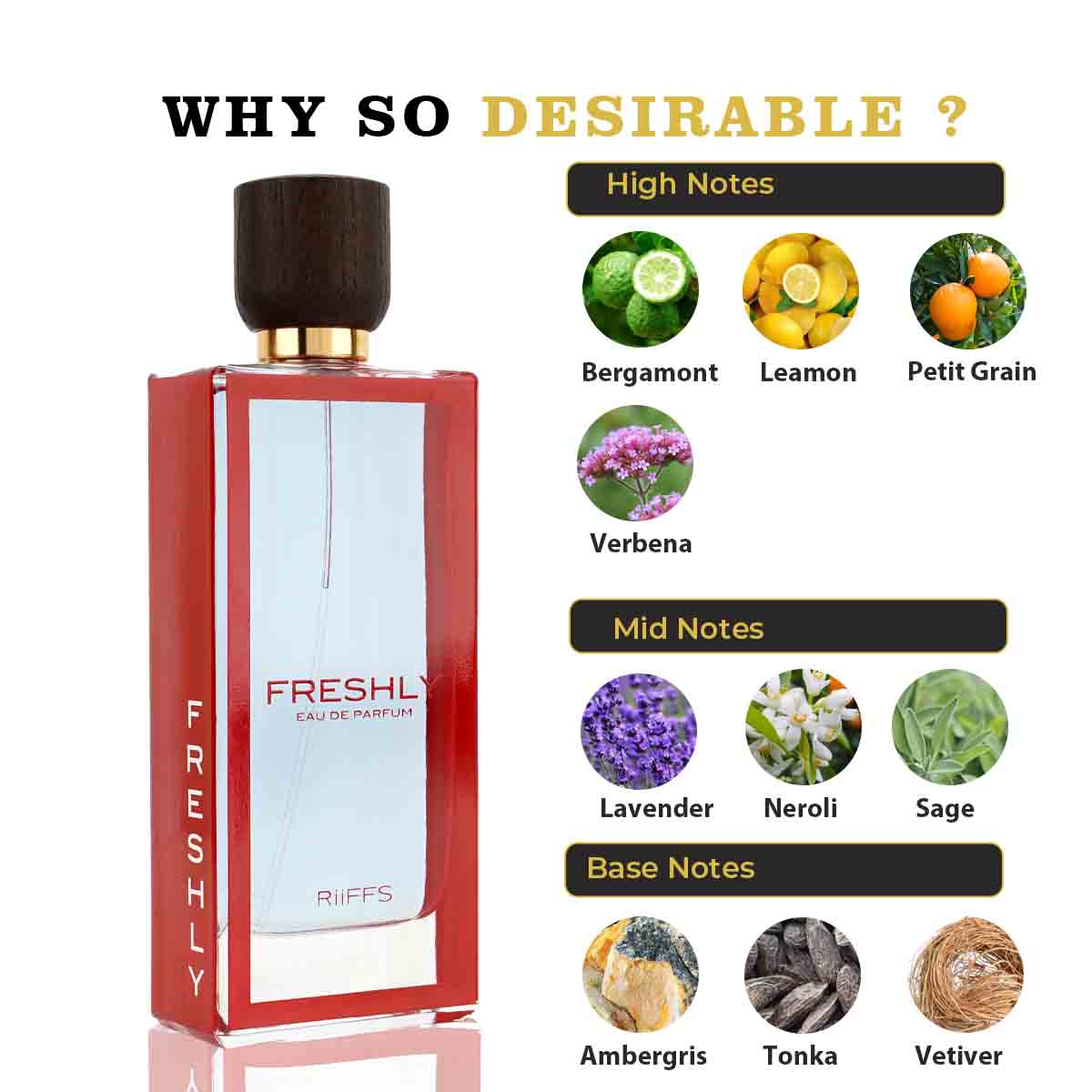 FRESHLY EDT